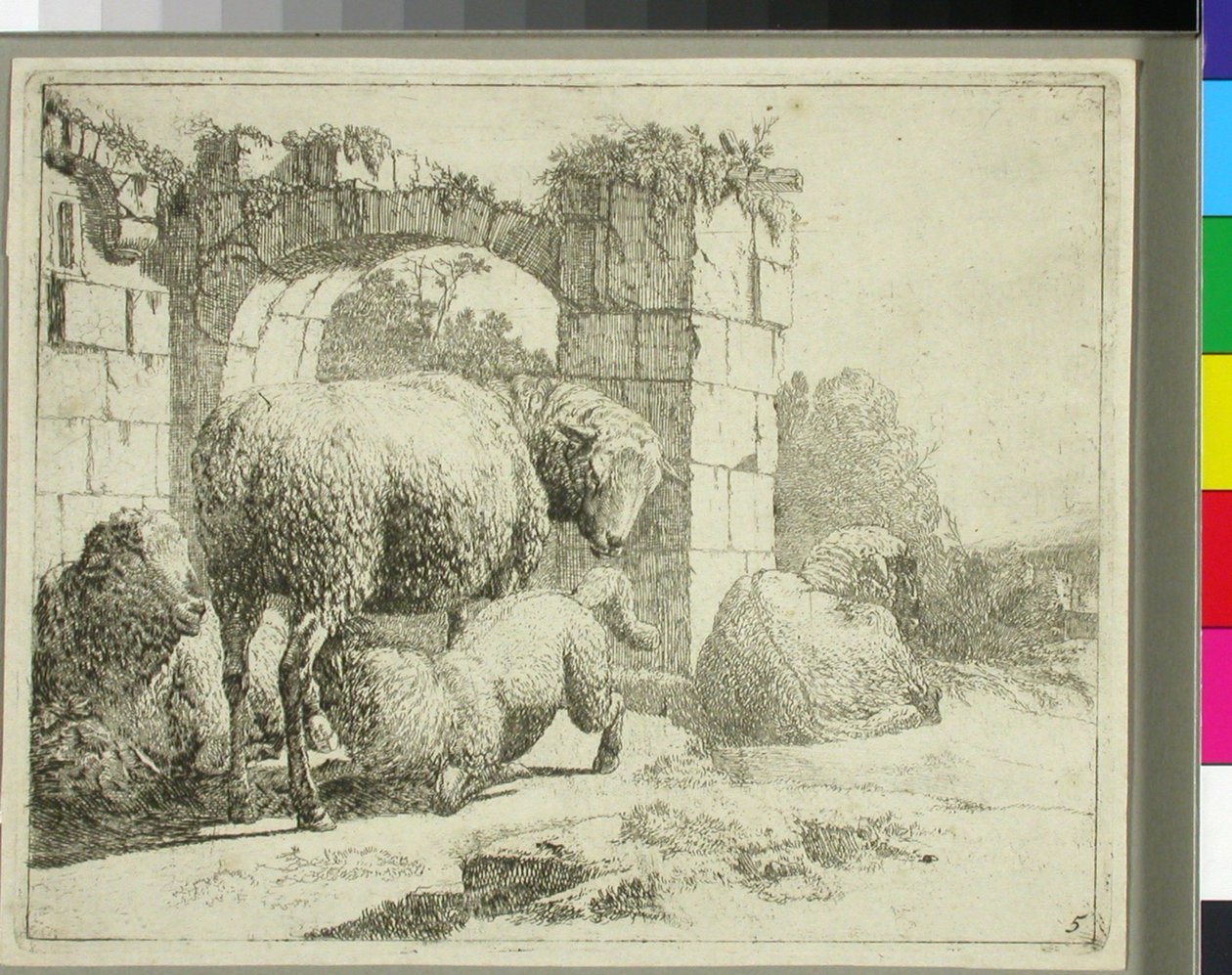 Owce przy zrujnowanej bramie autorstwa Johann Heinrich Roos