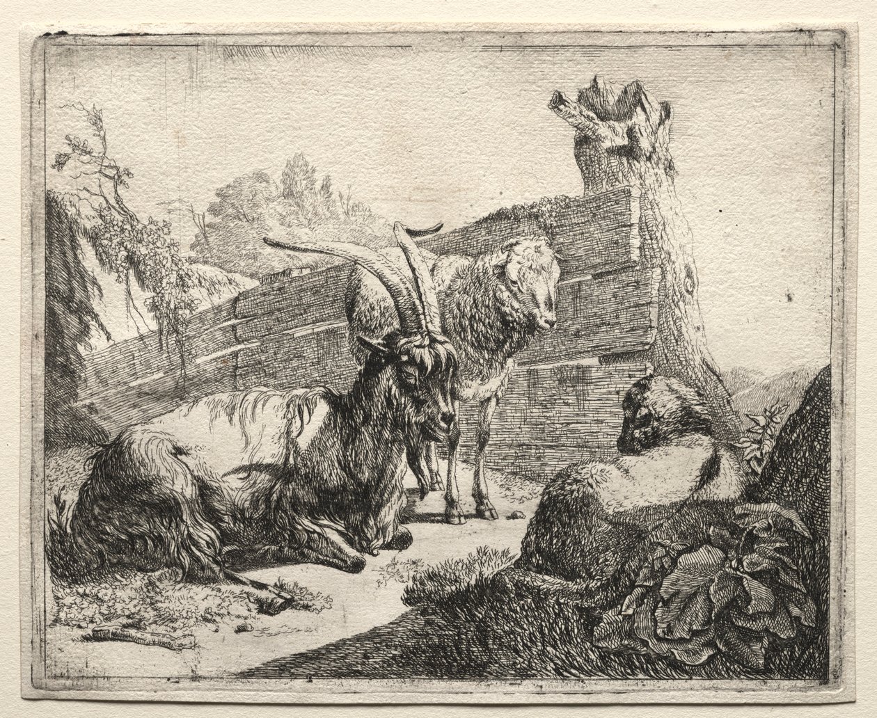 Żywopłot, 1665. autorstwa Johann Heinrich Roos