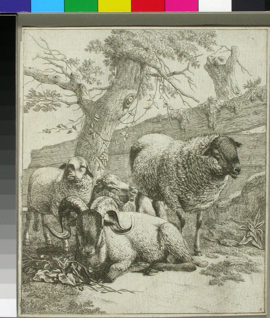 Ohne Titel autorstwa Johann Heinrich Roos