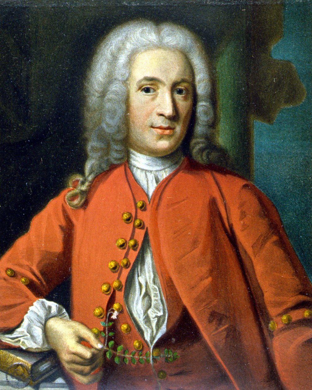 Carl Von Linné Szwedzki przyrodnik i pisarz (1707 - 1778) - J. H. Scheffel, w "Portret Linné" Tychona Tullberga autorstwa Johann Henrik Scheffel