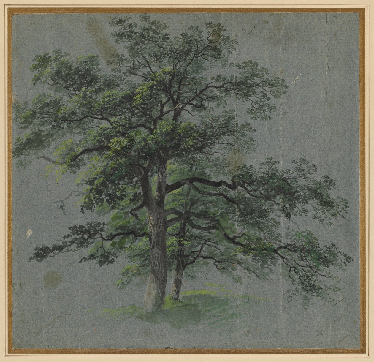 Dwa drzewa (rekto) autorstwa Johann Jacob Dorner
