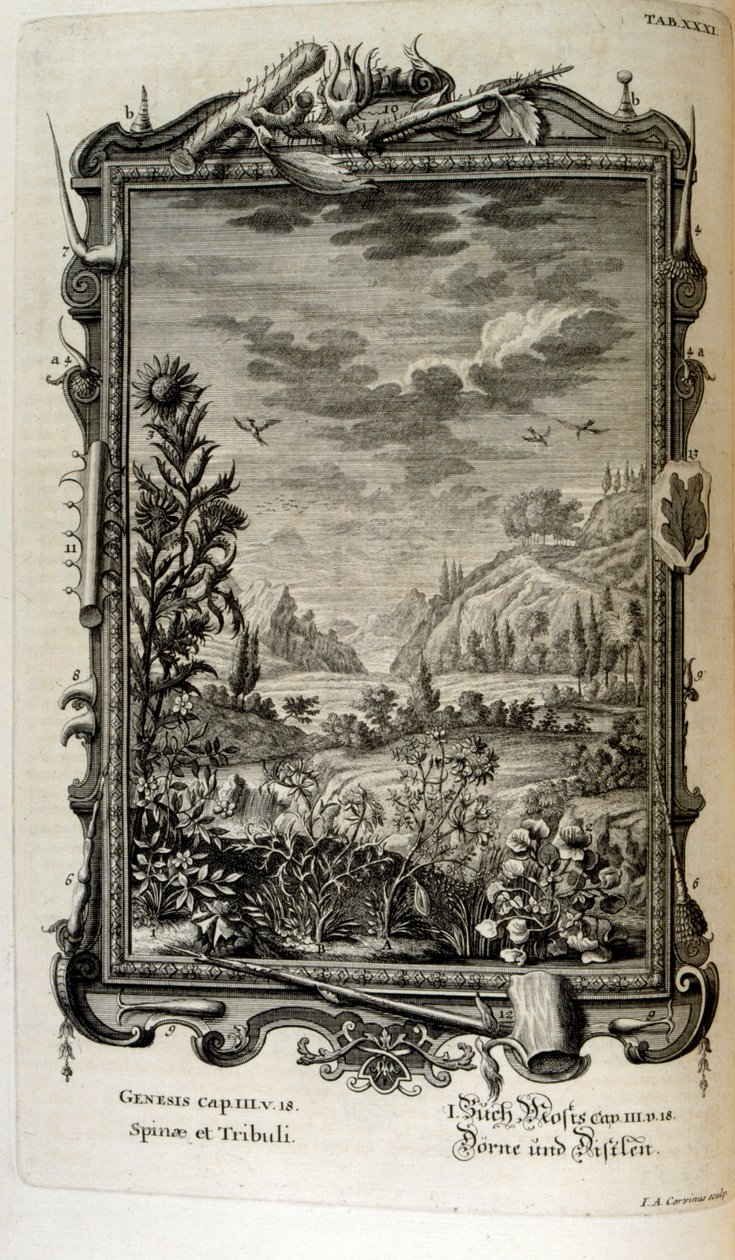 Miedzioryt z „Physica Sacra” szwajcarskiego uczonego. Johanna Jakoba Scheuchzera autorstwa Johann Jakob Scheuchzer