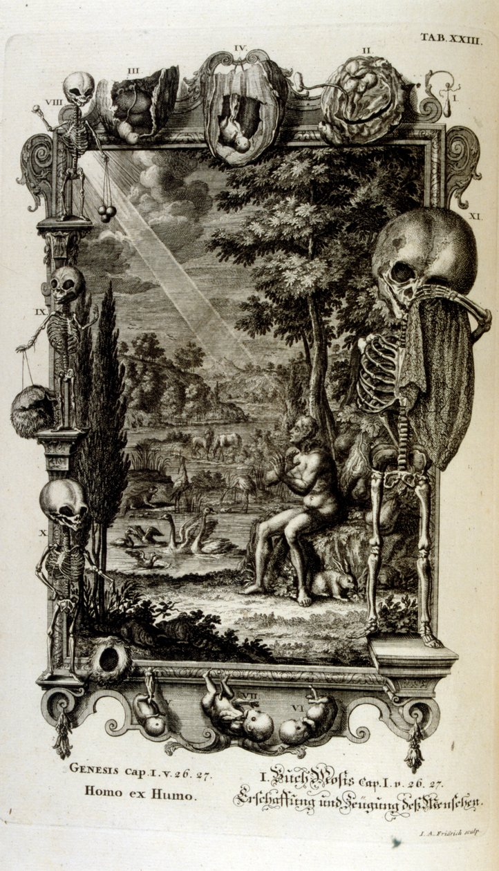 Miedzioryt z „Physica Sacra” szwajcarskiego uczonego. Johanna Jakoba Scheuchzera autorstwa Johann Jakob Scheuchzer