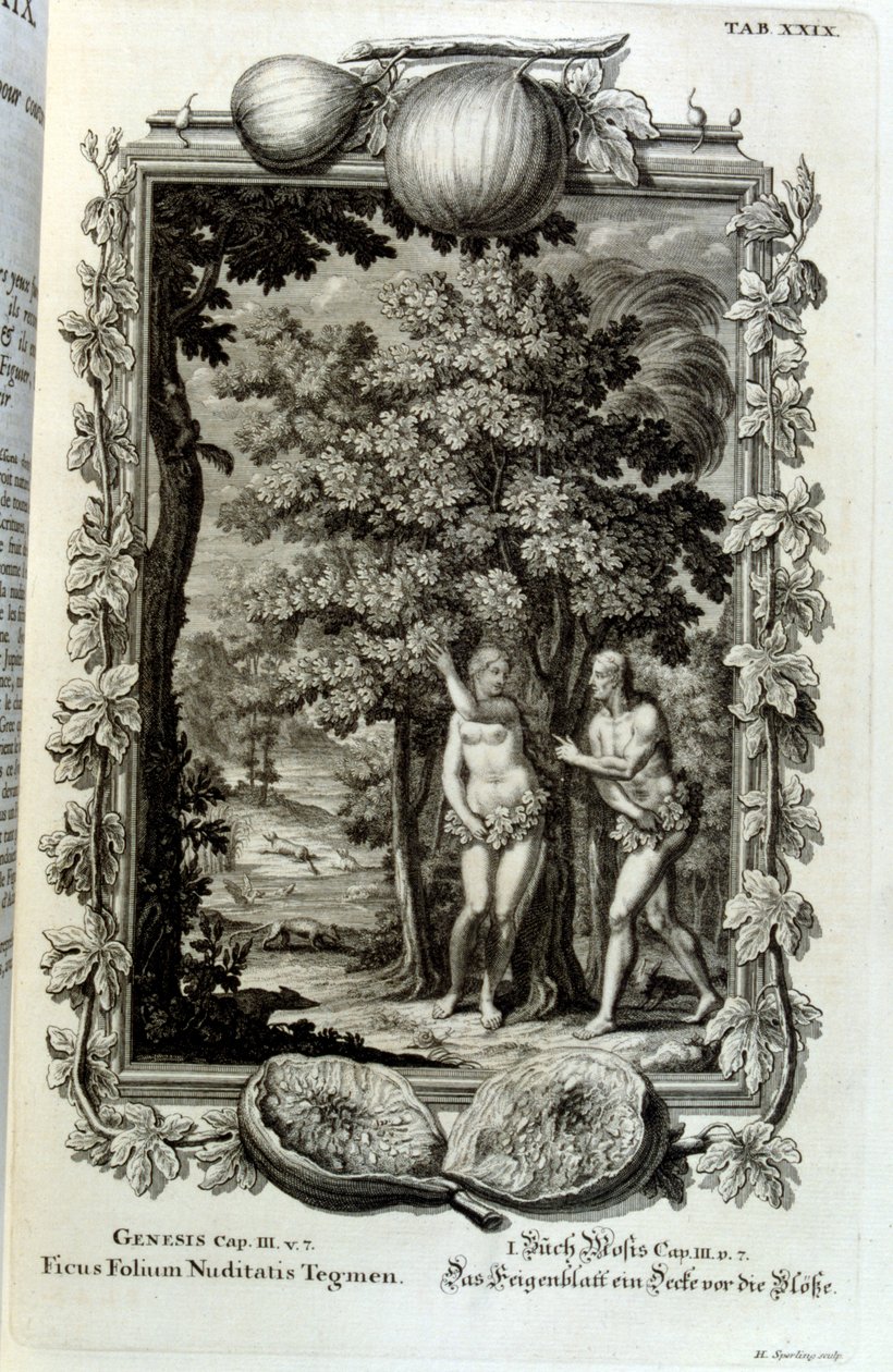 Miedzioryt z „Physica Sacra” szwajcarskiego uczonego. Johanna Jakoba Scheuchzera autorstwa Johann Jakob Scheuchzer