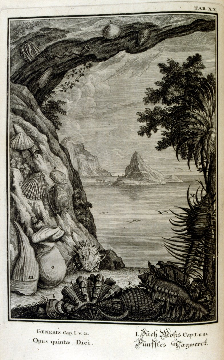 Miedzioryt z „Physica Sacra” szwajcarskiego uczonego. Johanna Jakoba Scheuchzera autorstwa Johann Jakob Scheuchzer