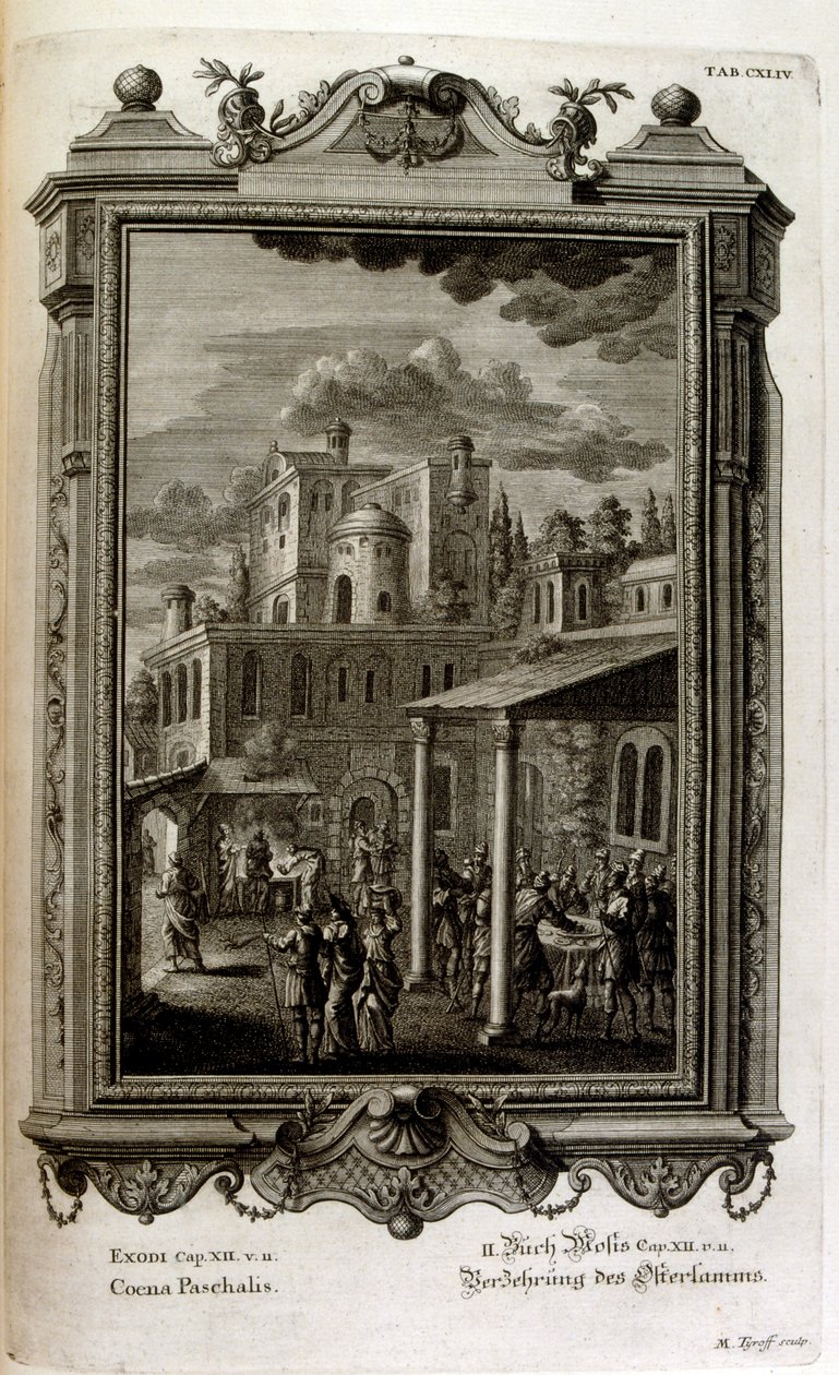 Ilustracja autorstwa Johann Jakob Scheuchzer