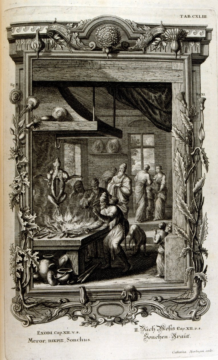 Ilustracja z świętej fizyki lub historii naturalnej Biblii autorstwa Johann Jakob Scheuchzer