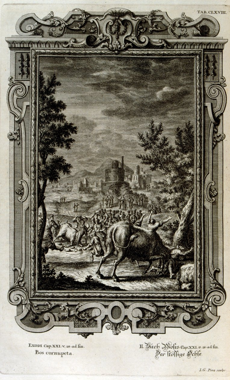 Składanie ofiar z dzikich byków autorstwa Johann Jakob Scheuchzer