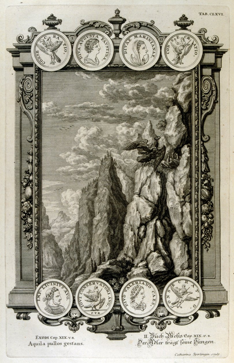 Zeus symbolizowany jako orzeł autorstwa Johann Jakob Scheuchzer