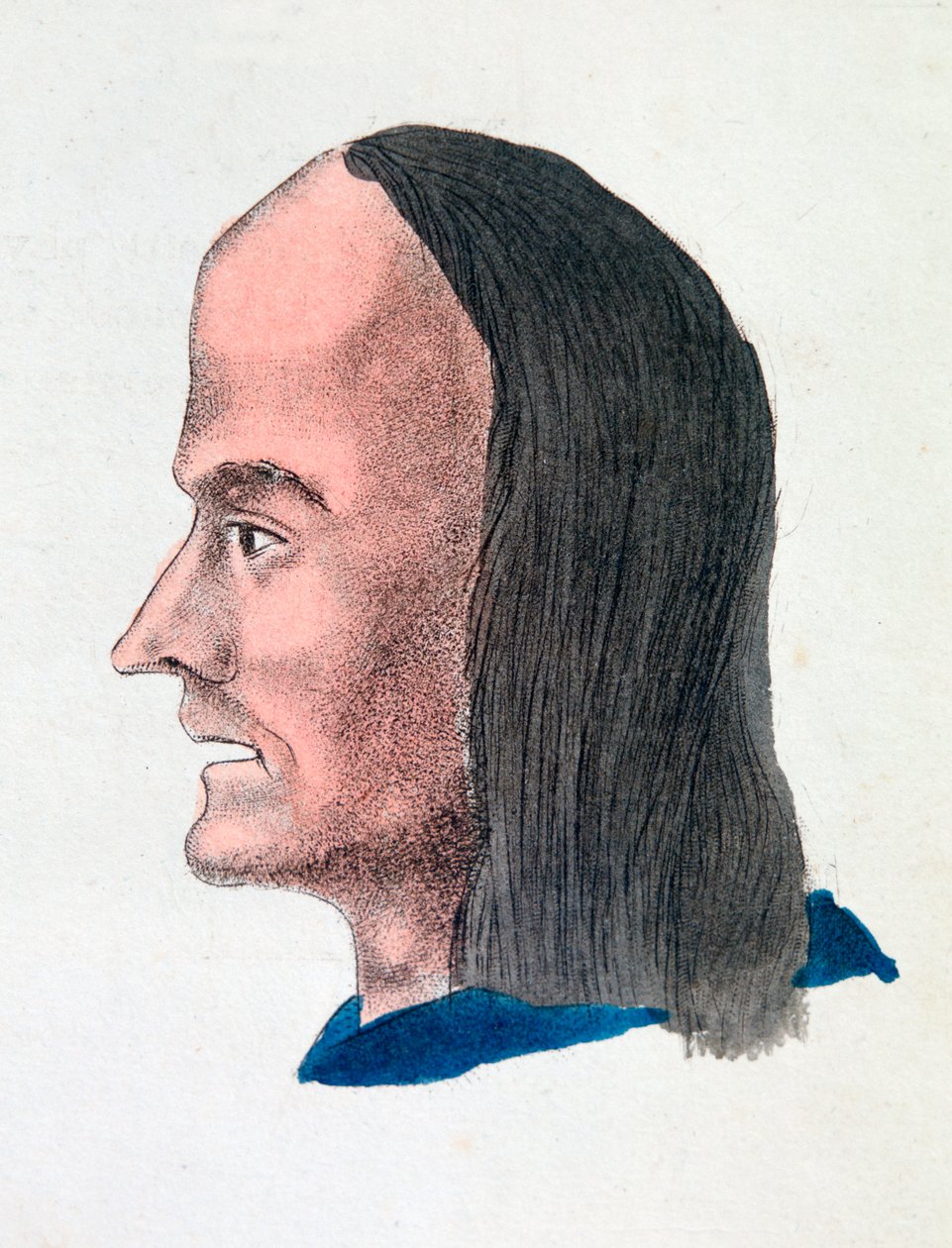 Cechy twarzy mokasyna, 1808 autorstwa Johann Kaspar Lavater