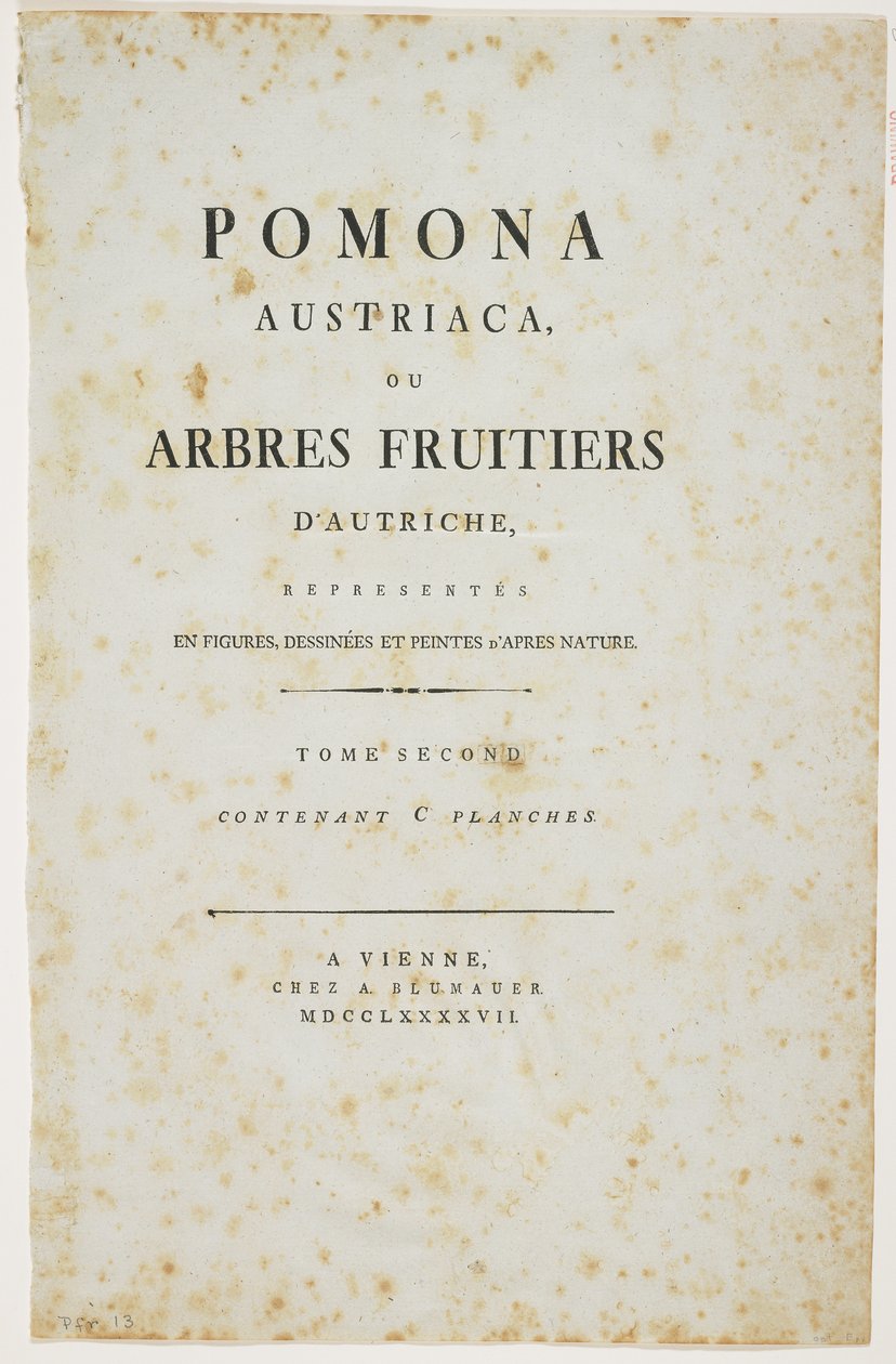 Strona tytułowa z „Pomona Austriaca, czyli austriackie drzewa owocowe”, 1787-96 (druk) autorstwa Johann Kraft