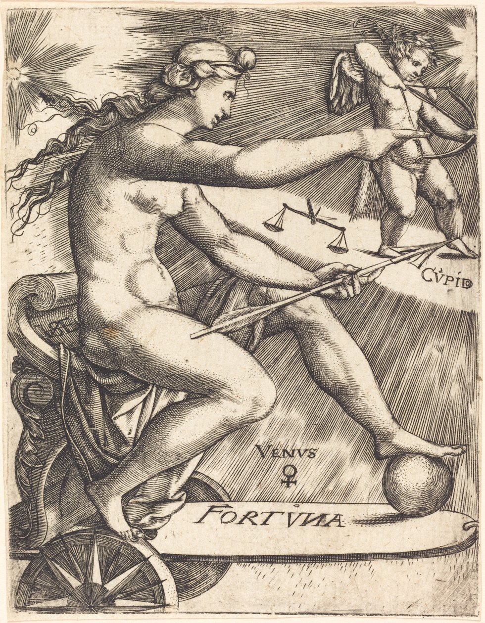 Wenus autorstwa Johann Ladenspelder