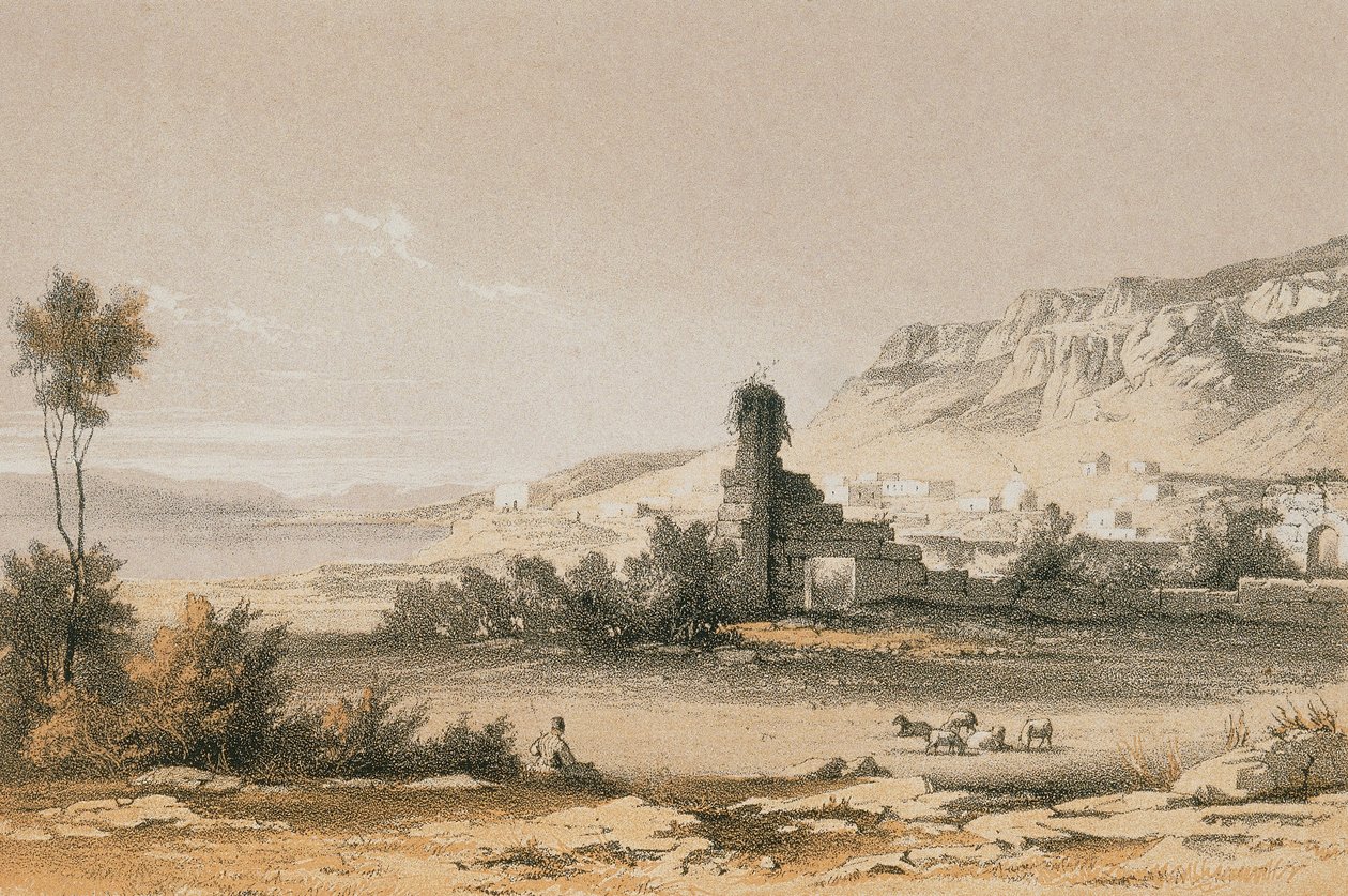 Magdala (Majdal Szams). Akwaforta Bernatza et alii - Steinkopk J.F. Editore autorstwa Johann Martin Bernatz