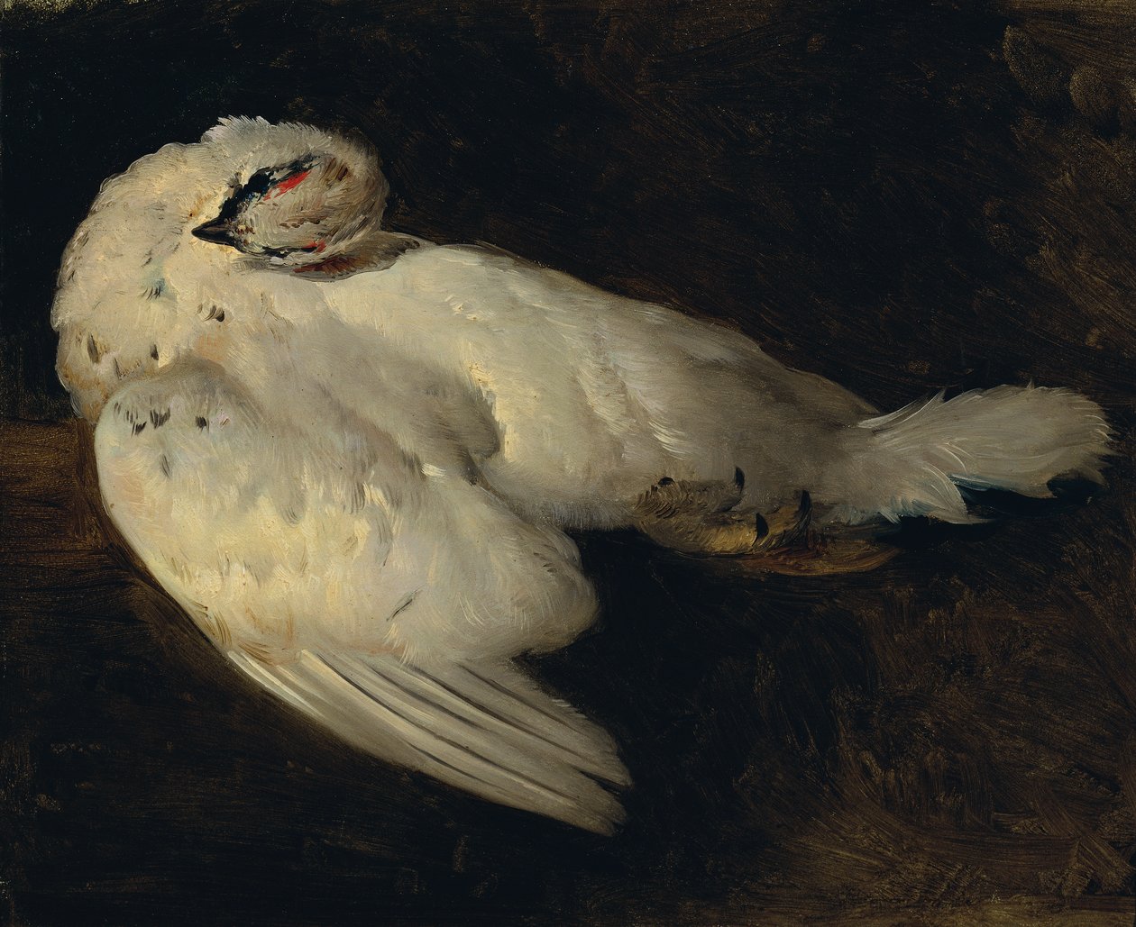 martwy pardwy autorstwa Johann Matthias Ranftl