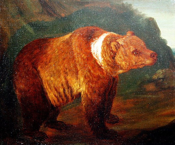 Niedźwiedź brunatny w krajobrazie, ok. 1719 (olej na płótnie) autorstwa Johann Melchior Roos