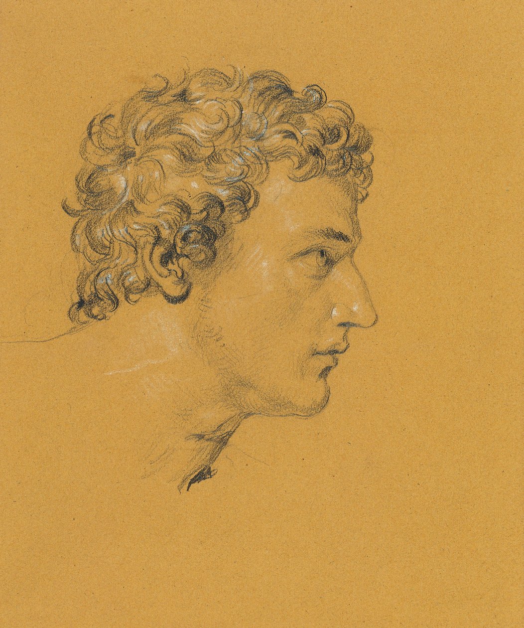 Studium głowy autorstwa Johann Peter Krafft