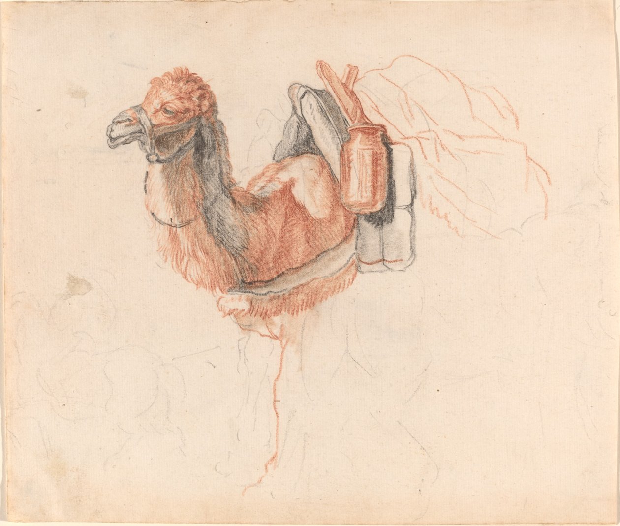 Wielbłąd autorstwa Johann Rudolph Schellenberg