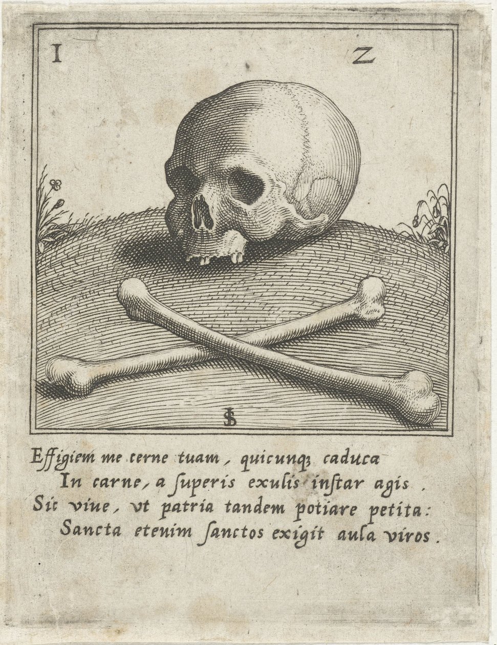 Przedstawienie Vanitas z czaszką i dwiema kośćmi autorstwa Johann Sadeler (I)