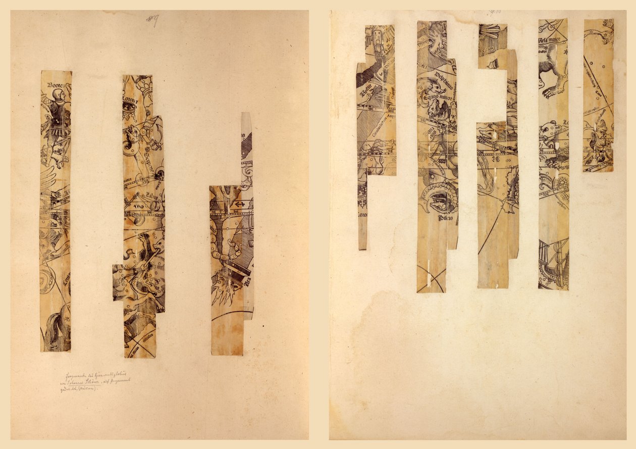 Fragment niebiańskiego globu. LOC 2016586440 autorstwa Johann Schöner