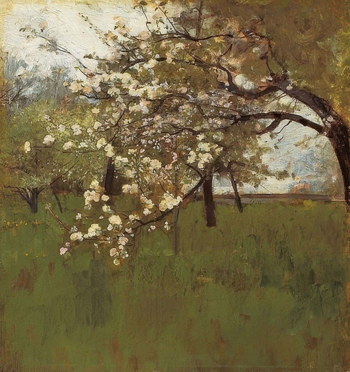 Jabłoń kwitnąca autorstwa Johann Sperl