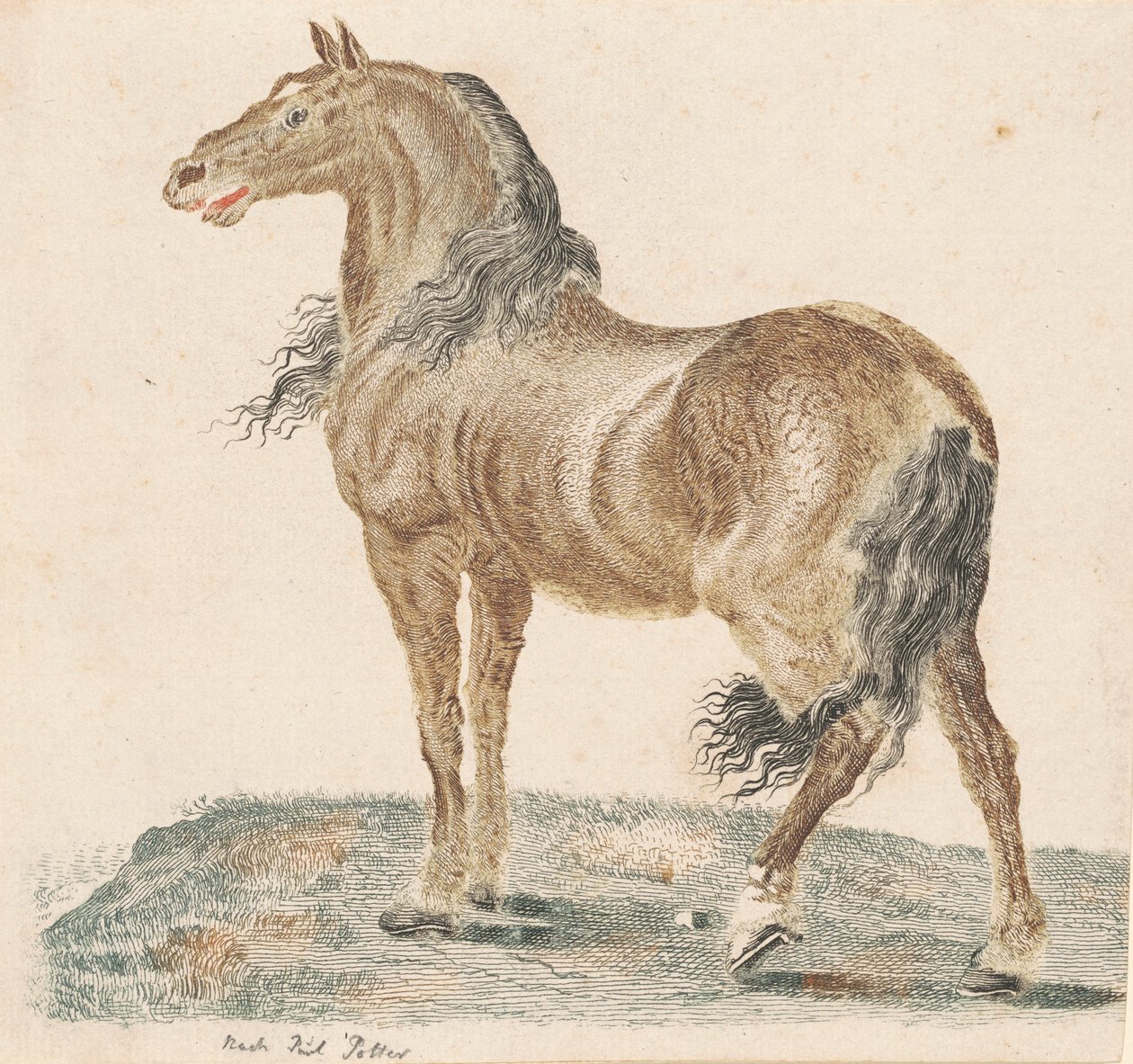 Sąsiedni koń autorstwa Johann Teyler, after Paulus Potter