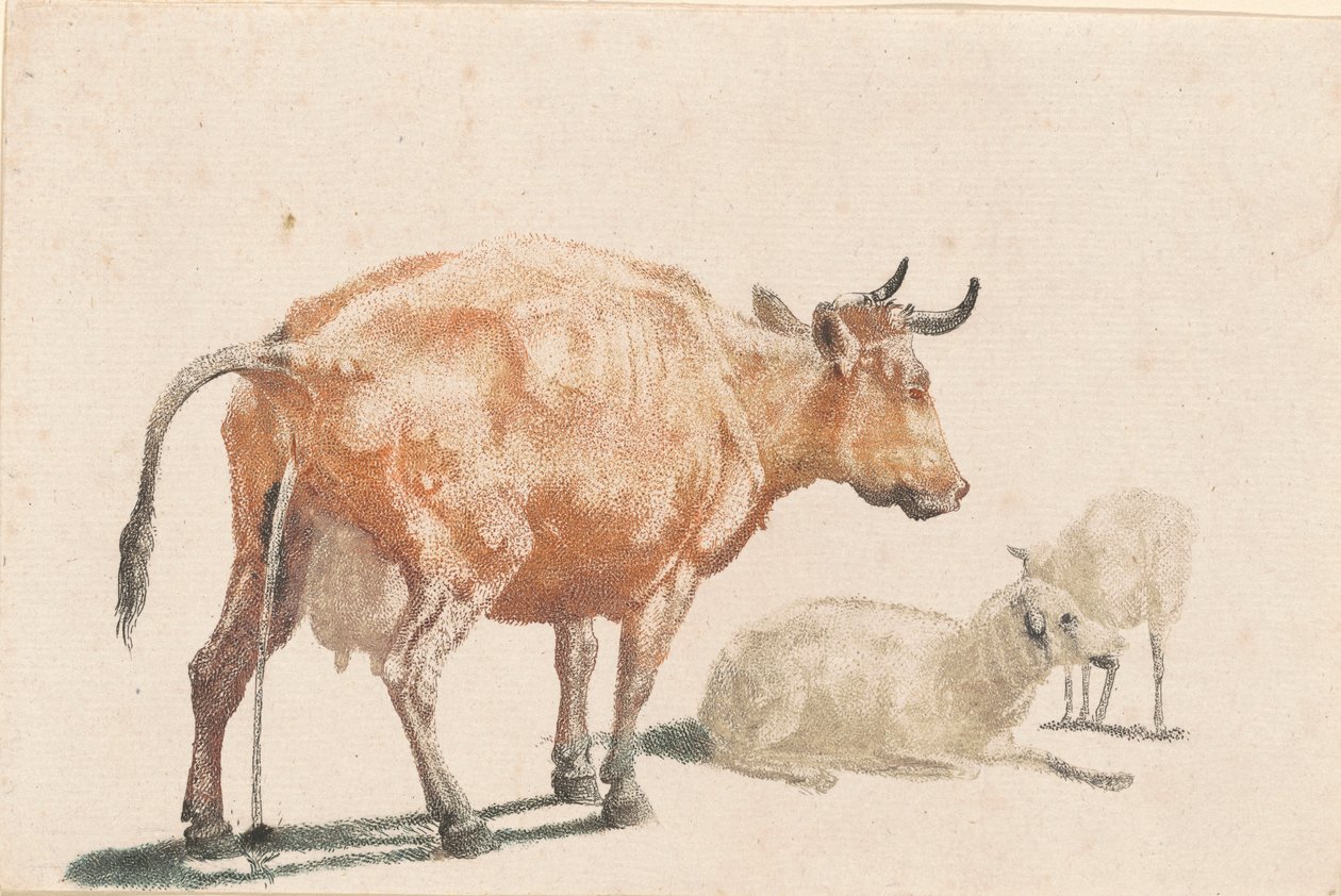 Sika Krowa autorstwa Johann Teyler, after Paulus Potter