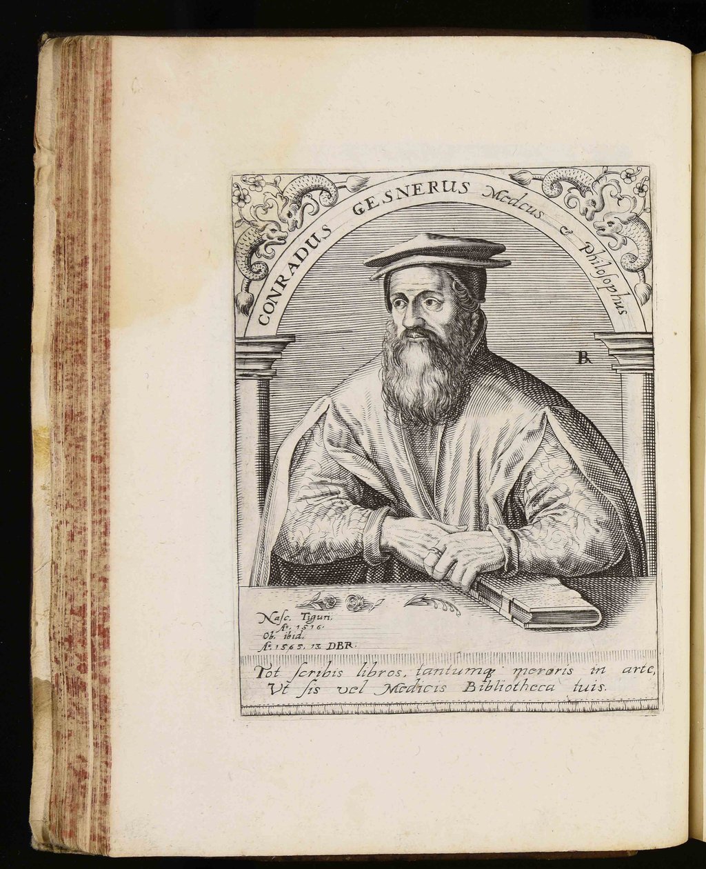 Conrad Gessner autorstwa Johann Theodor de Bry