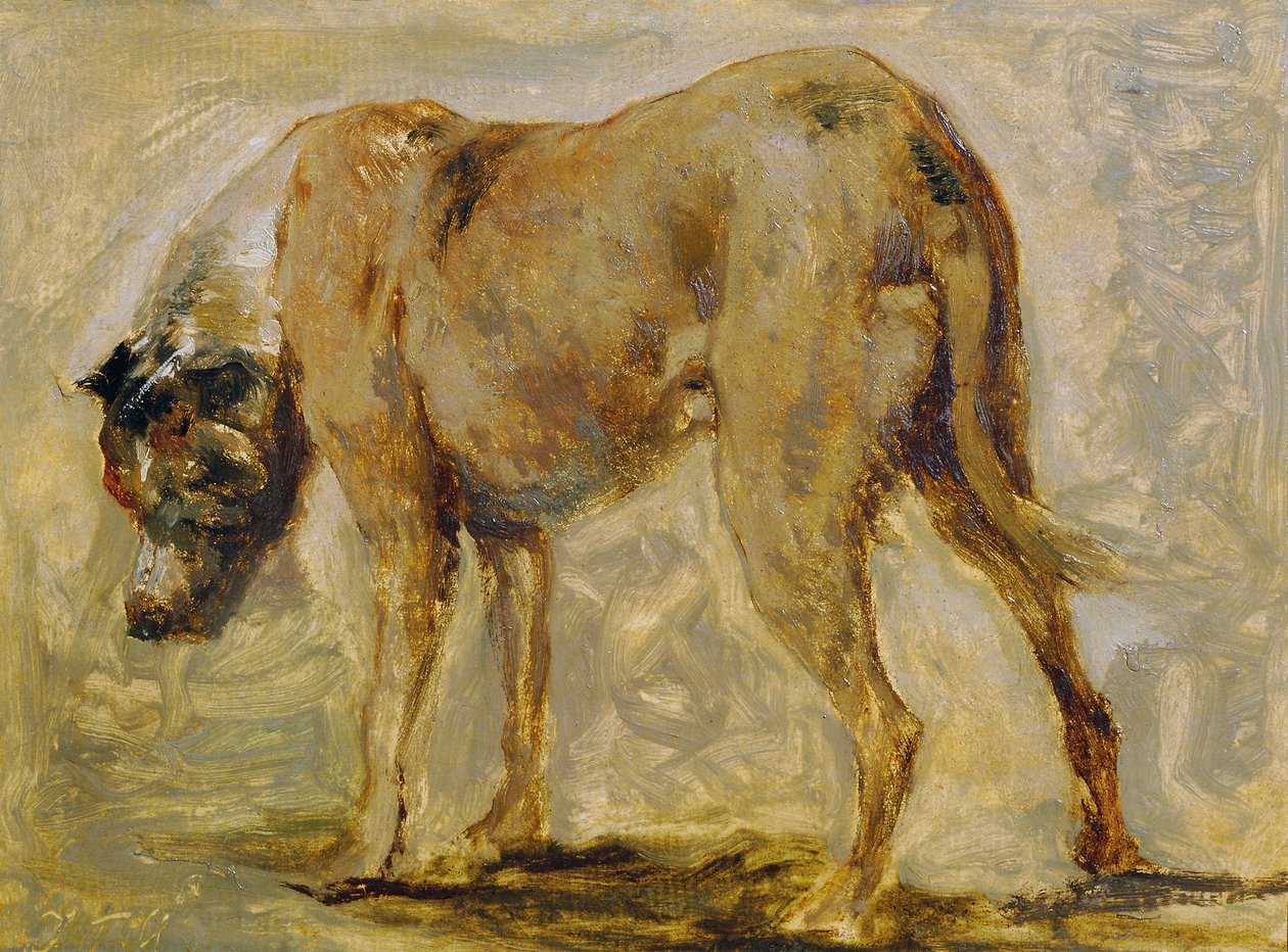 Dog niemiecki brązowy autorstwa Johann  Till der Jüngere