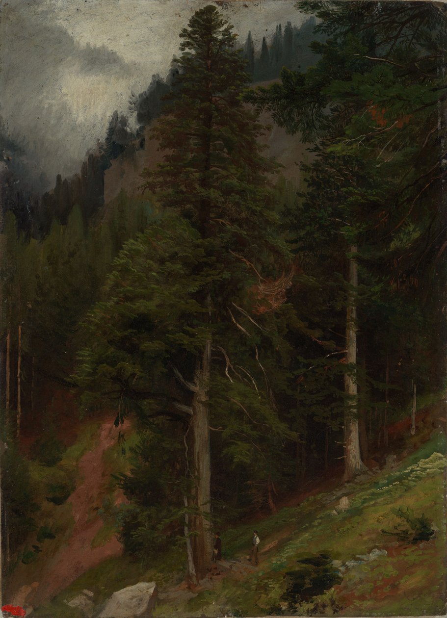 Zbocze w lesie jodłowym autorstwa Johann Wilhelm Schirmer