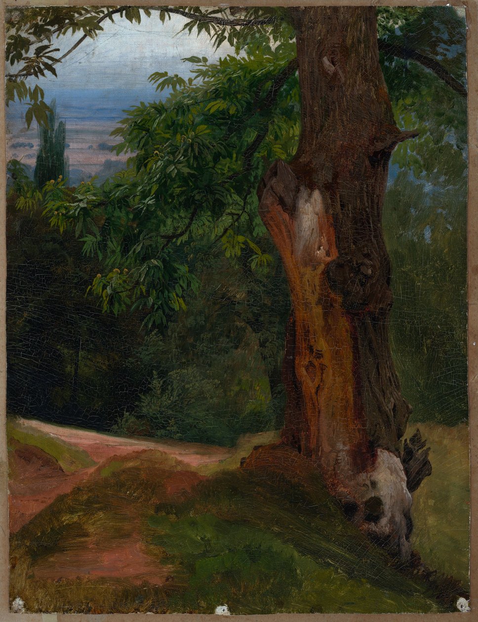 Studium drzewa z widokiem na dolinę autorstwa Johann Wilhelm Schirmer