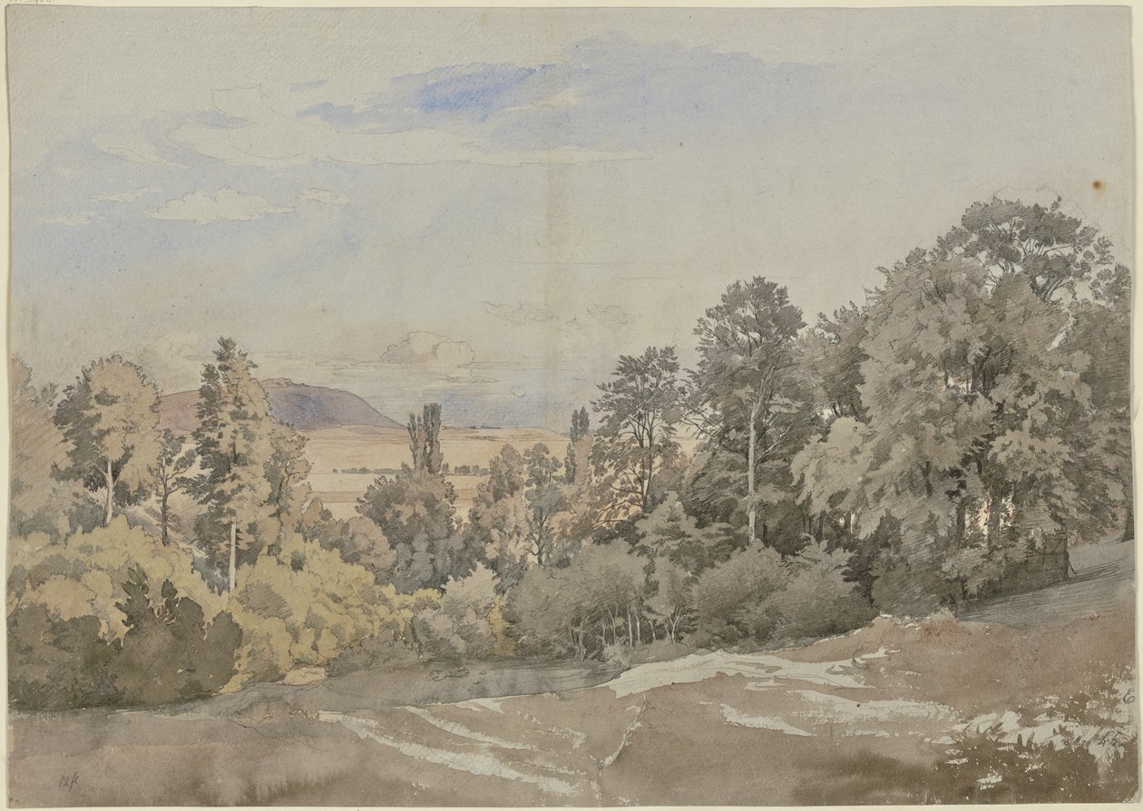 Las z dalekim widokiem autorstwa Johann Wilhelm Schirmer