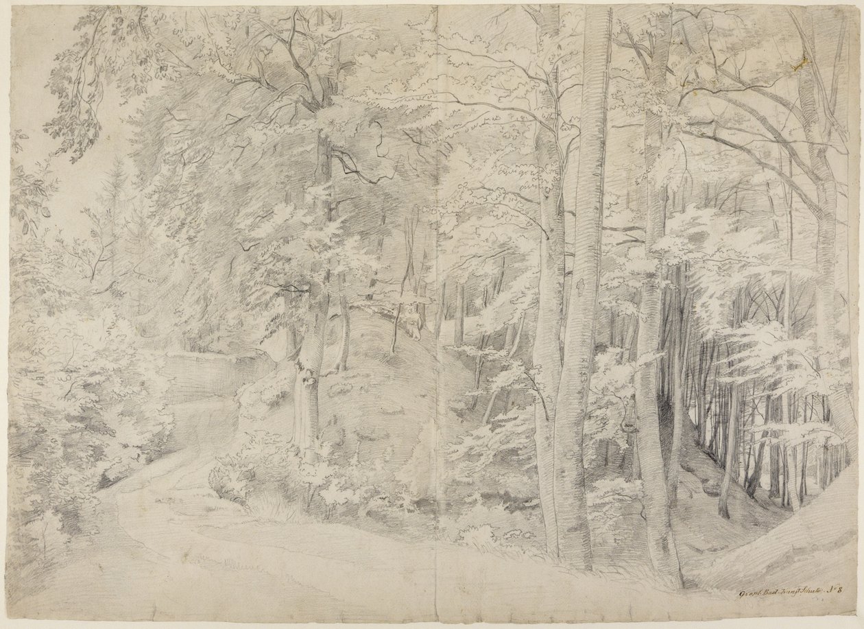 W lesie bukowym autorstwa Johann Wilhelm Schirmer
