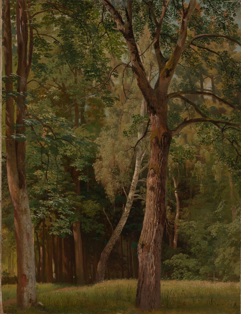 Las liściasty z kasztanowcami i brzozami autorstwa Johann Wilhelm Schirmer