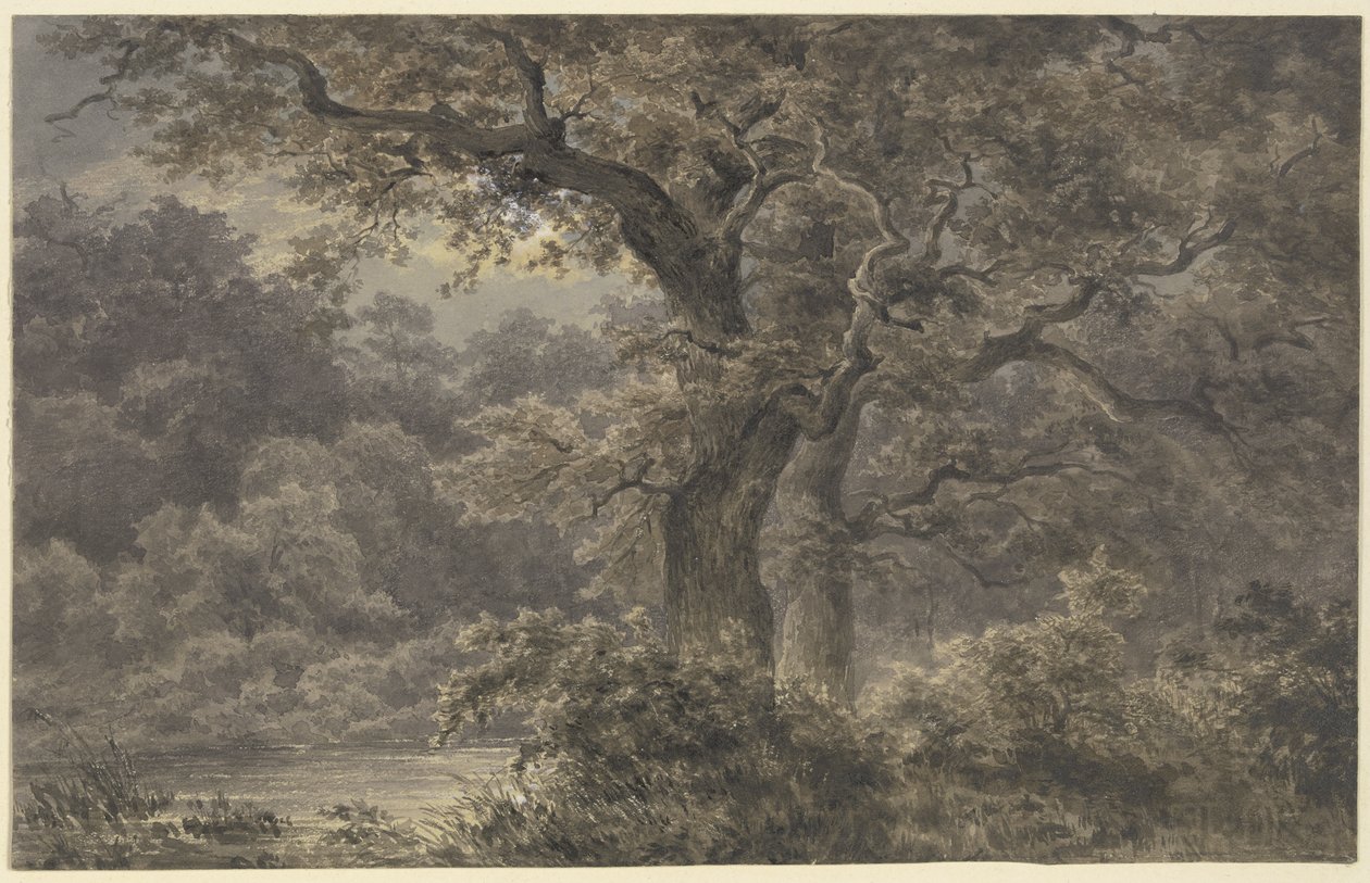 Dęby w lesie autorstwa Johann Wilhelm Schirmer