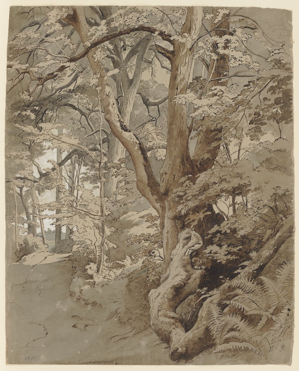 Scena leśna z dębem i paprociami autorstwa Johann Wilhelm Schirmer