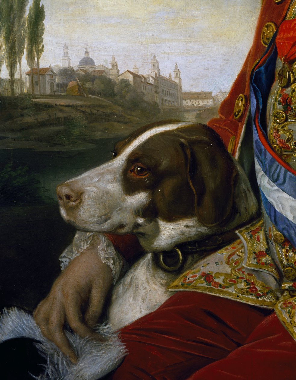 Pies, fragment z portretu Ferdynanda Burbońskiego, księcia Parmy autorstwa Johann Zoffany