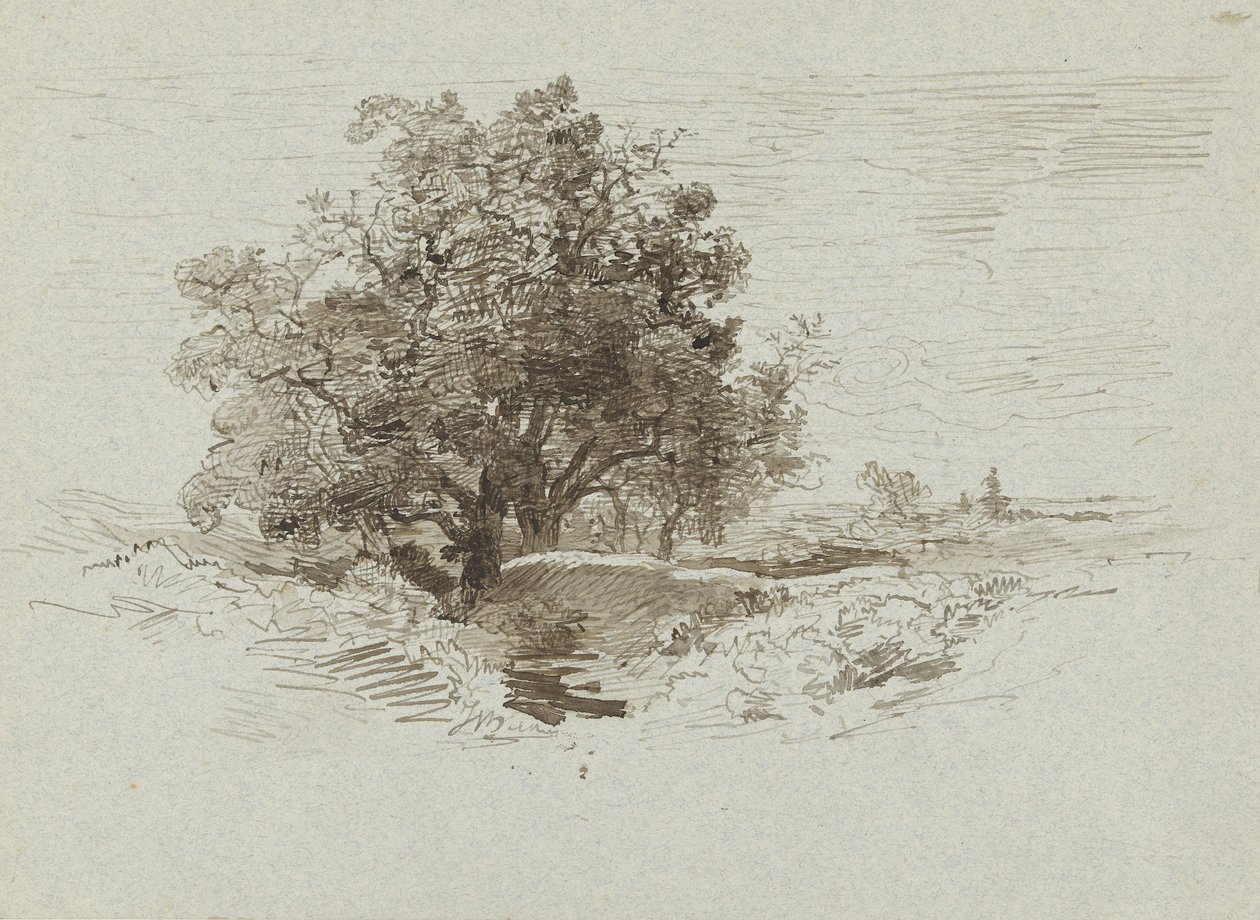 Grupa Oaks w pobliżu Wolfheze, Holandia autorstwa Johannes Warnardus Bilders