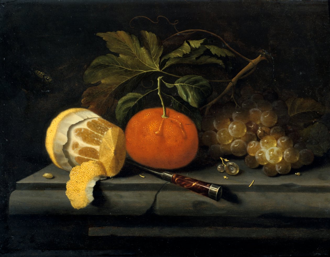 Owoce na kamiennym stole, c1653-1659 autorstwa Johannes Borman
