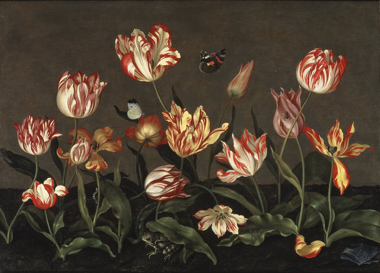 Nature morte avec des tulipes - Martwa natura z tulipanami, Bosschaert, Johannes (ok. 1610-ok. 1650). Olej na drewnie. Wymiar : 46x64 cm. Muzeum Narodowe w Sztokholmie autorstwa Johannes Bosschaert