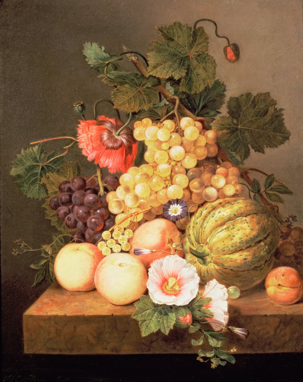 Martwa natura z owocami autorstwa Johannes Cornelis Bruyn