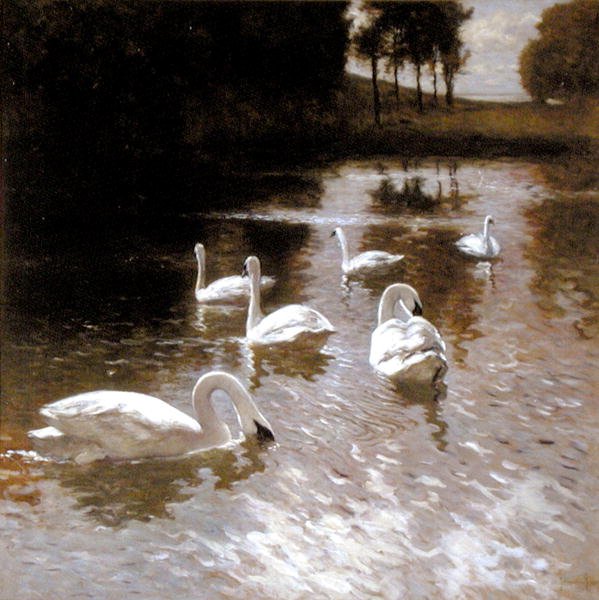 Łabędzie na jeziorze, ok.1890 (olej na płótnie) autorstwa Johannes Cornelis van Essen