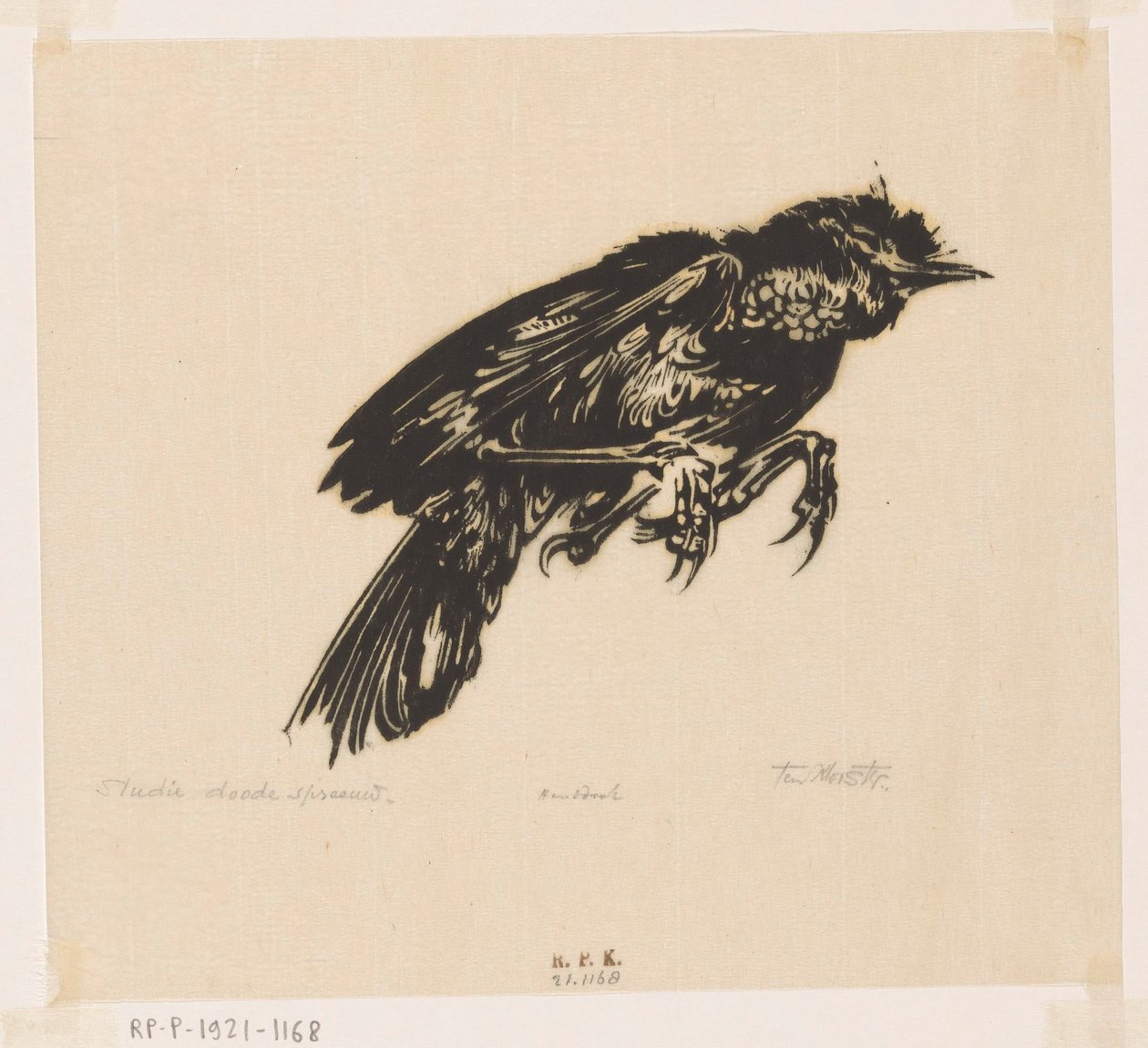 Martwy szpak (oryginalny tytuł na obiekcie) autorstwa Johannes Frederik Engelbert ten Klooster (signed by artist)