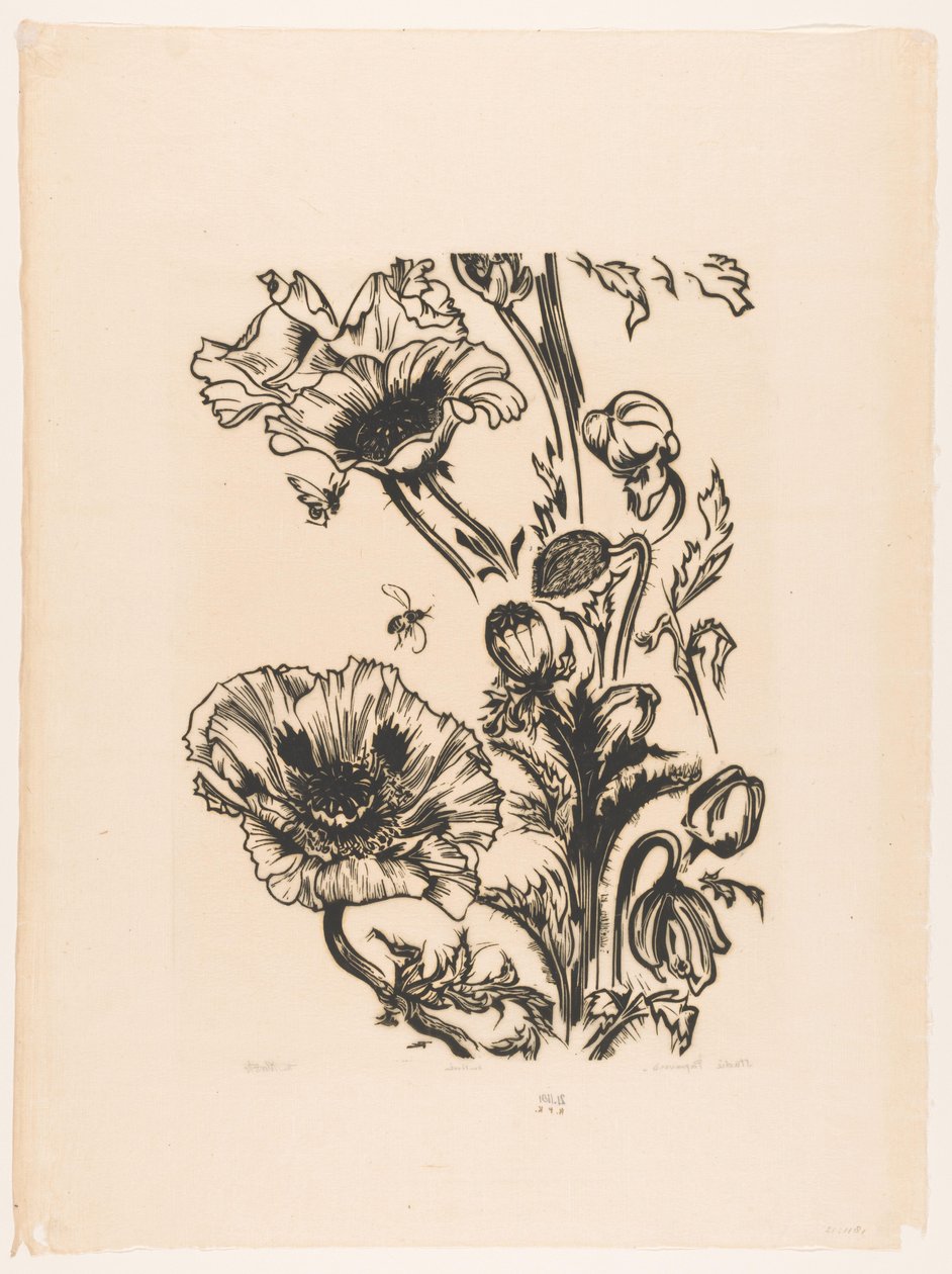 Studium papavers (oryginalny tytuł na obiekcie) autorstwa Johannes Frederik Engelbert ten Klooster (signed by artist)