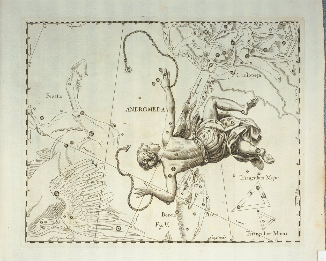 Borealna konstelacja Andromedy, rycina z atlasu nieba Firmamentum Sobiescianum sive Uronographia, autorstwa Jana Heweliusza (1611-1687), Gdańsk autorstwa Johannes Hevelius