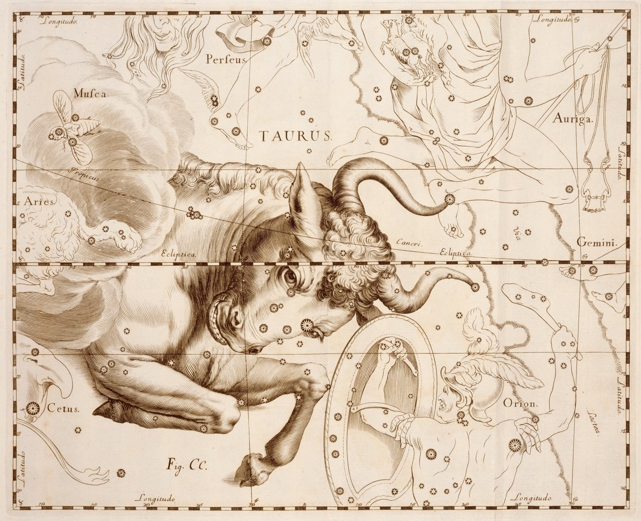 Byk (znak zodiaku), rycina z Firmamentum Sobiescianum sive Uranographia, Kompletny katalog gwiazd, autorstwa Jana Heweliusza (1611-1687), druk w Gdańsku autorstwa Johannes Hevelius