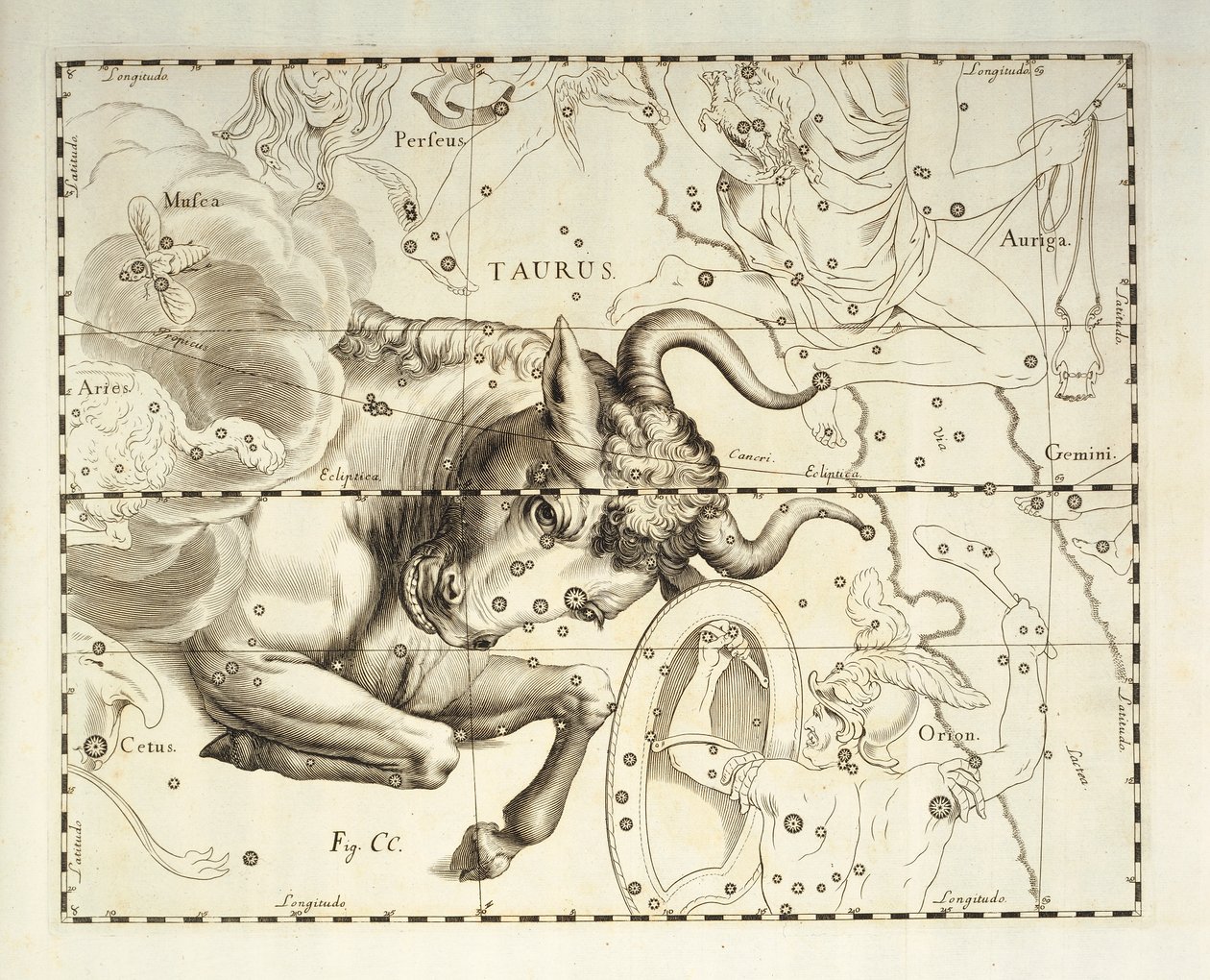Byk, konstelacja Byka, rycina z atlasu niebieskiego Firmamentum Sobiescianum sive Uronographia, autorstwa Jana Heweliusza (1611-1687), Gdańsk autorstwa Johannes Hevelius