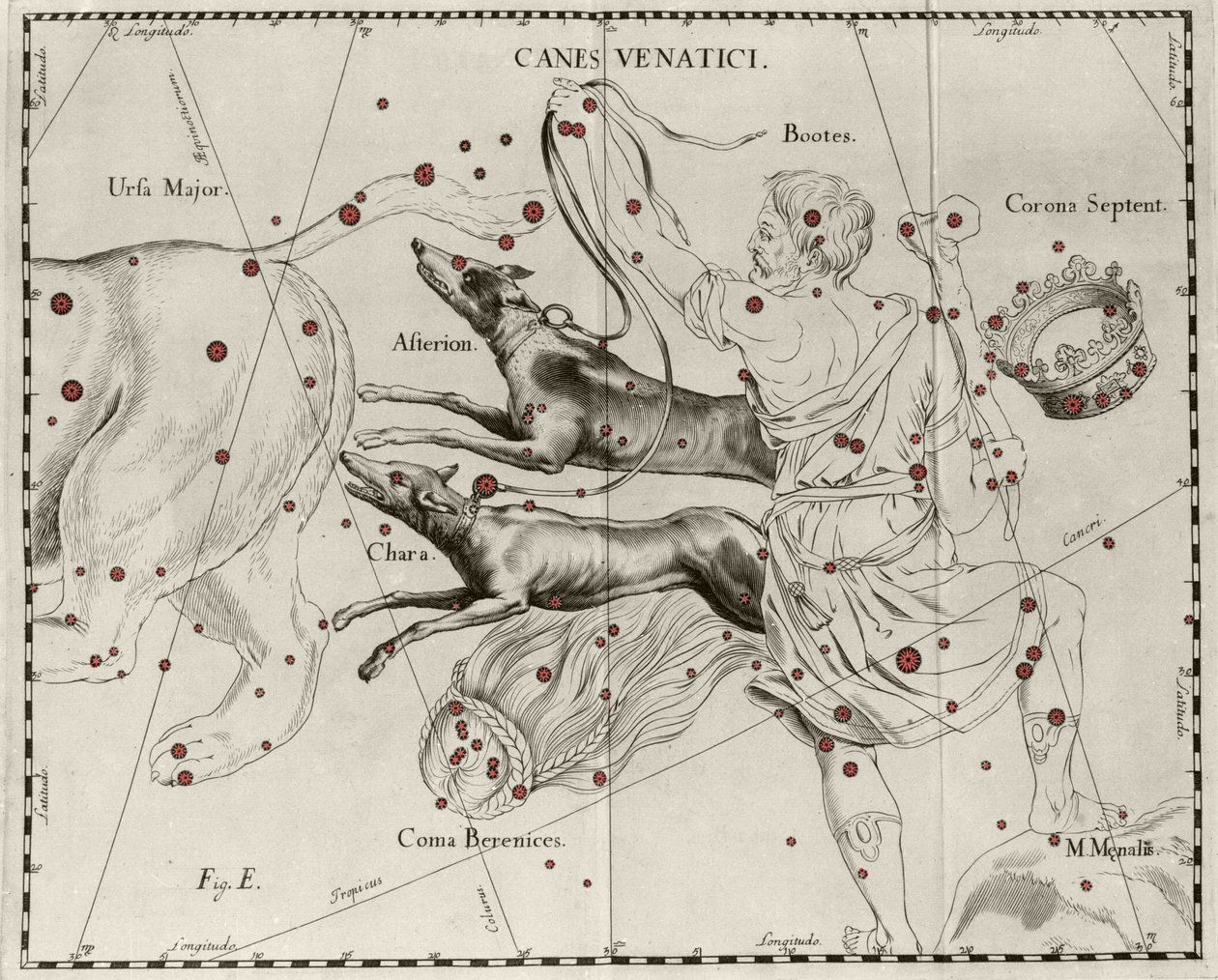 Konstelacja Canes Venatici, psy myśliwskie. Talerz zaczerpnięty z „Firmamentum Sobiescanum sive Uranographia” Jana Heweliusza lub Hevela (1611-1687) autorstwa Johannes Hevelius