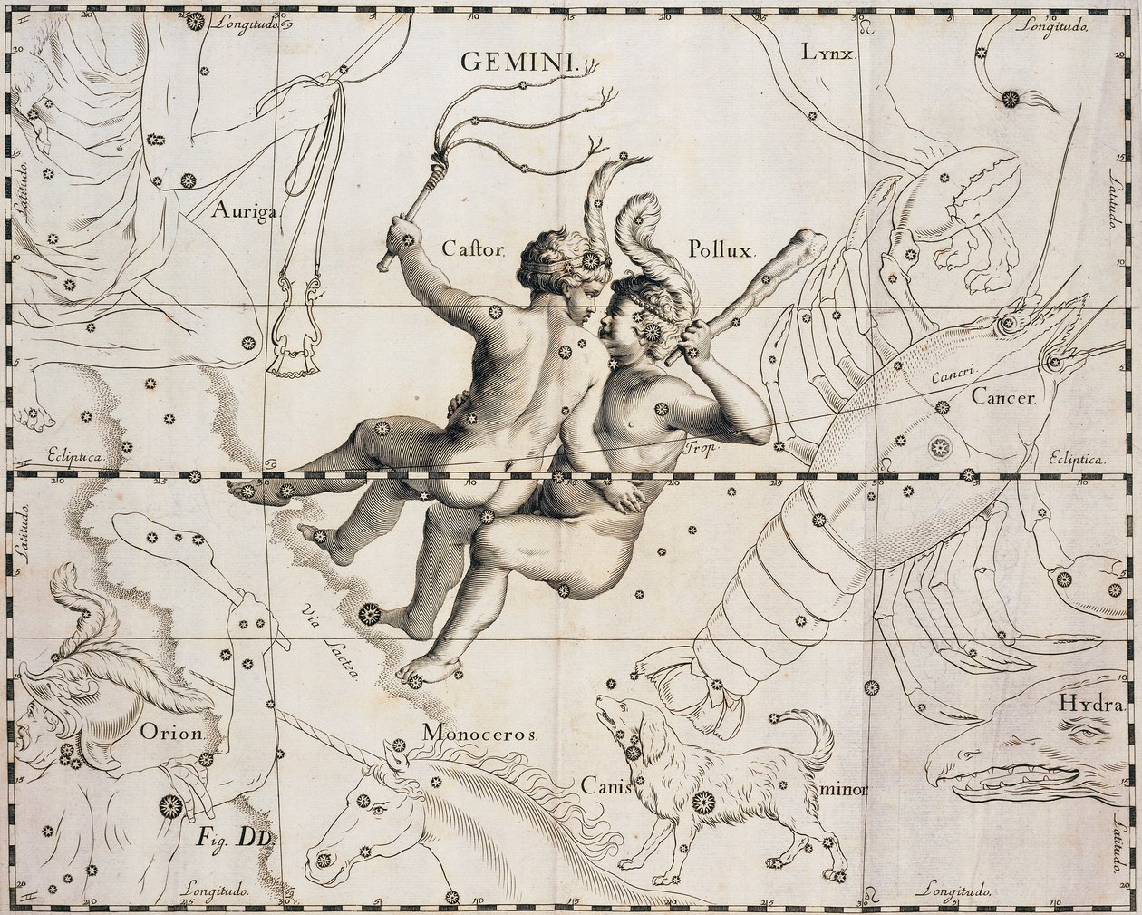 Gwiazdozbiór Gemini, ilustracja z Firmamentum Sobiescianum sive Uranographia, autorstwa Johanna Heveliusa (1611-1687), Gdańsk 1690 autorstwa Johannes Hevelius