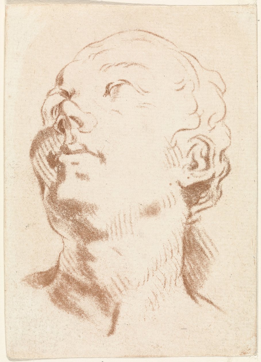Głowa kobiety autorstwa Johannes Janson (possibly)