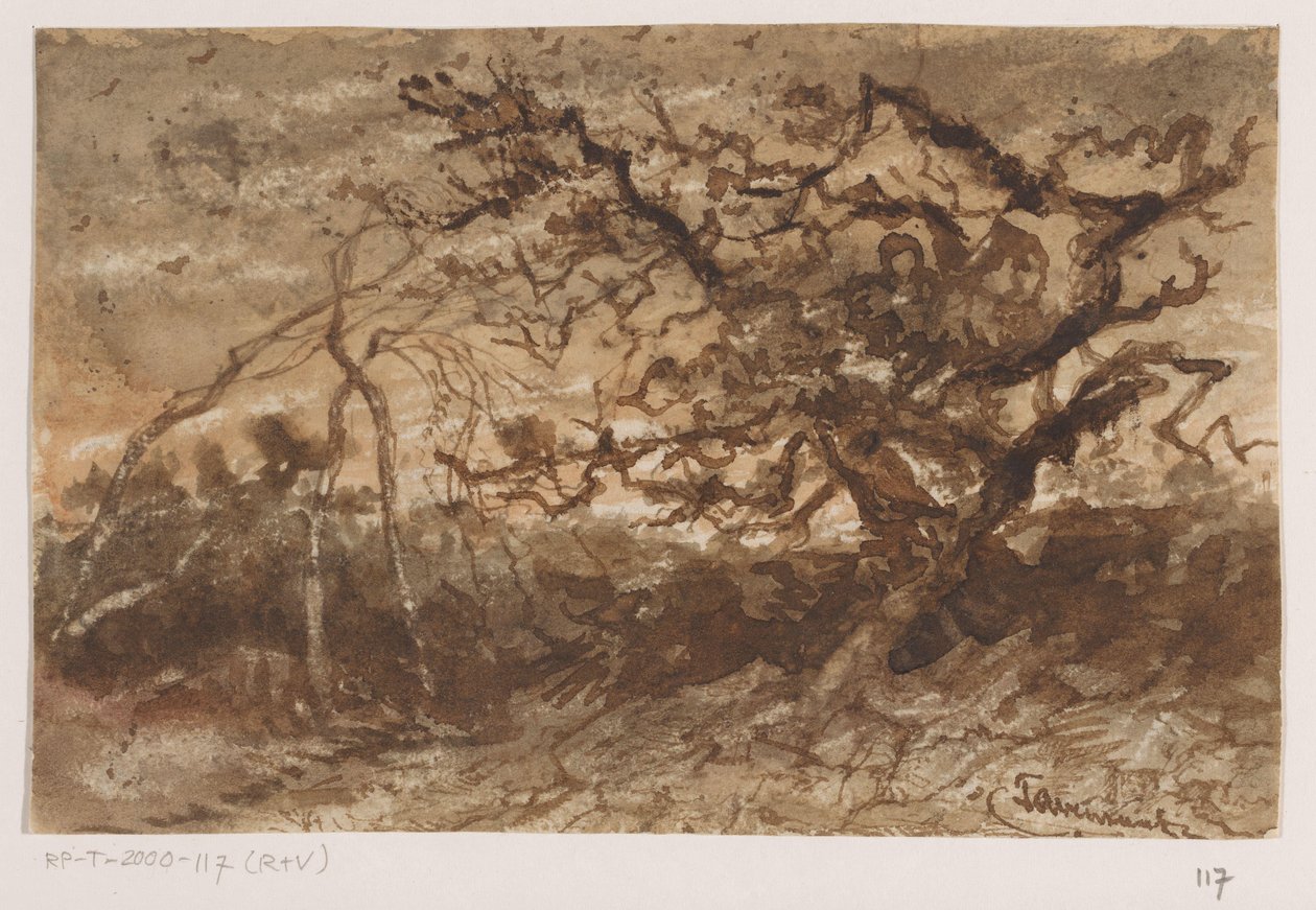 Drzewo o zachodzie słońca autorstwa Johannes Tavenraat (signed by artist)